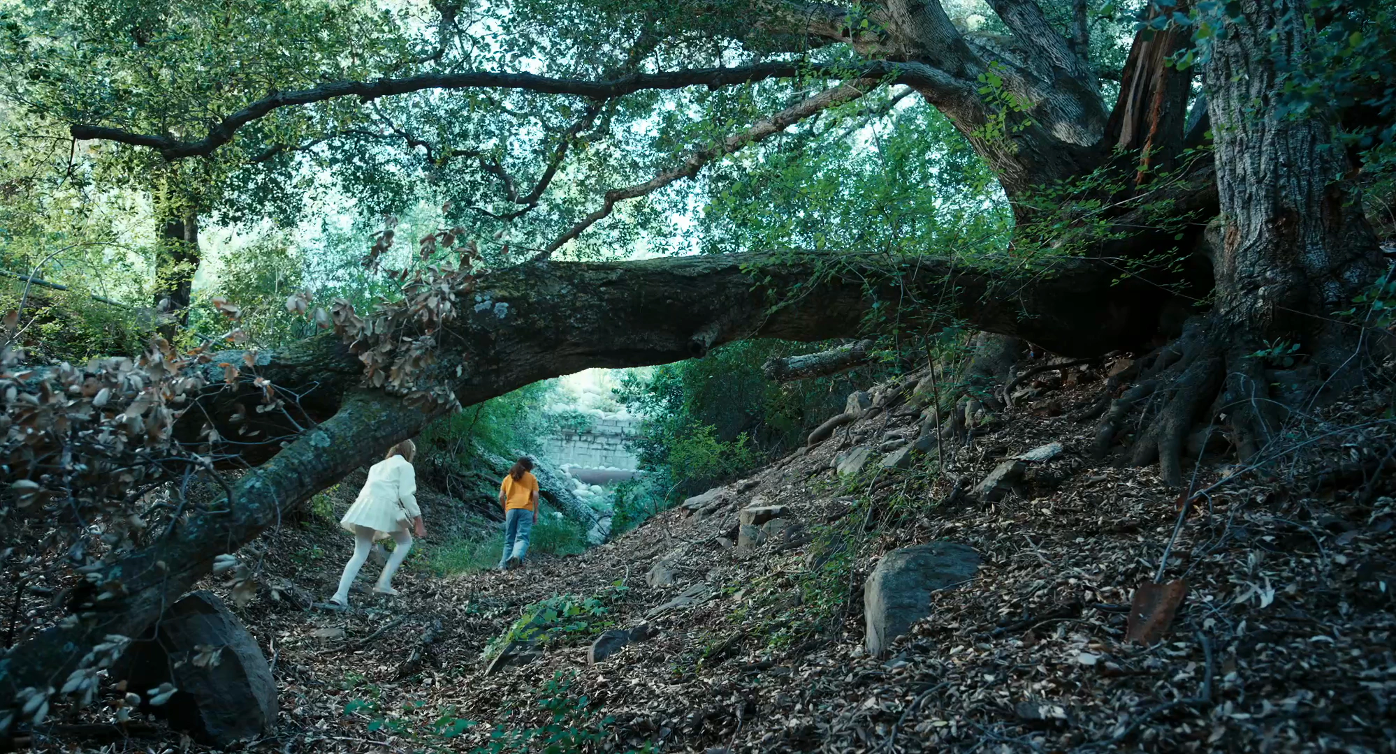 Two children beneath an immense fallen tree in Don’t Peek
